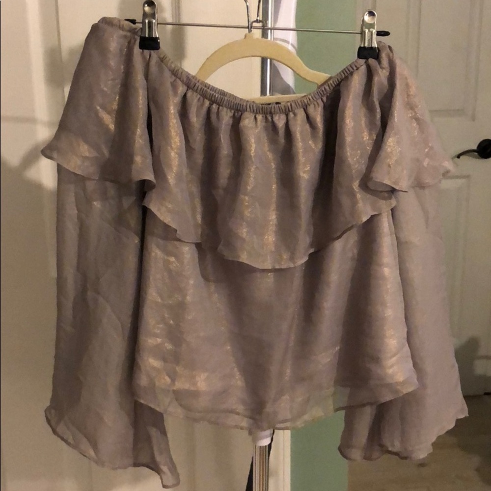 Silver Off the Should Long Sleeve Top
